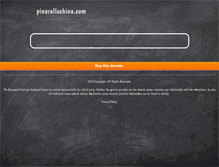 Tablet Screenshot of pinarellochina.com